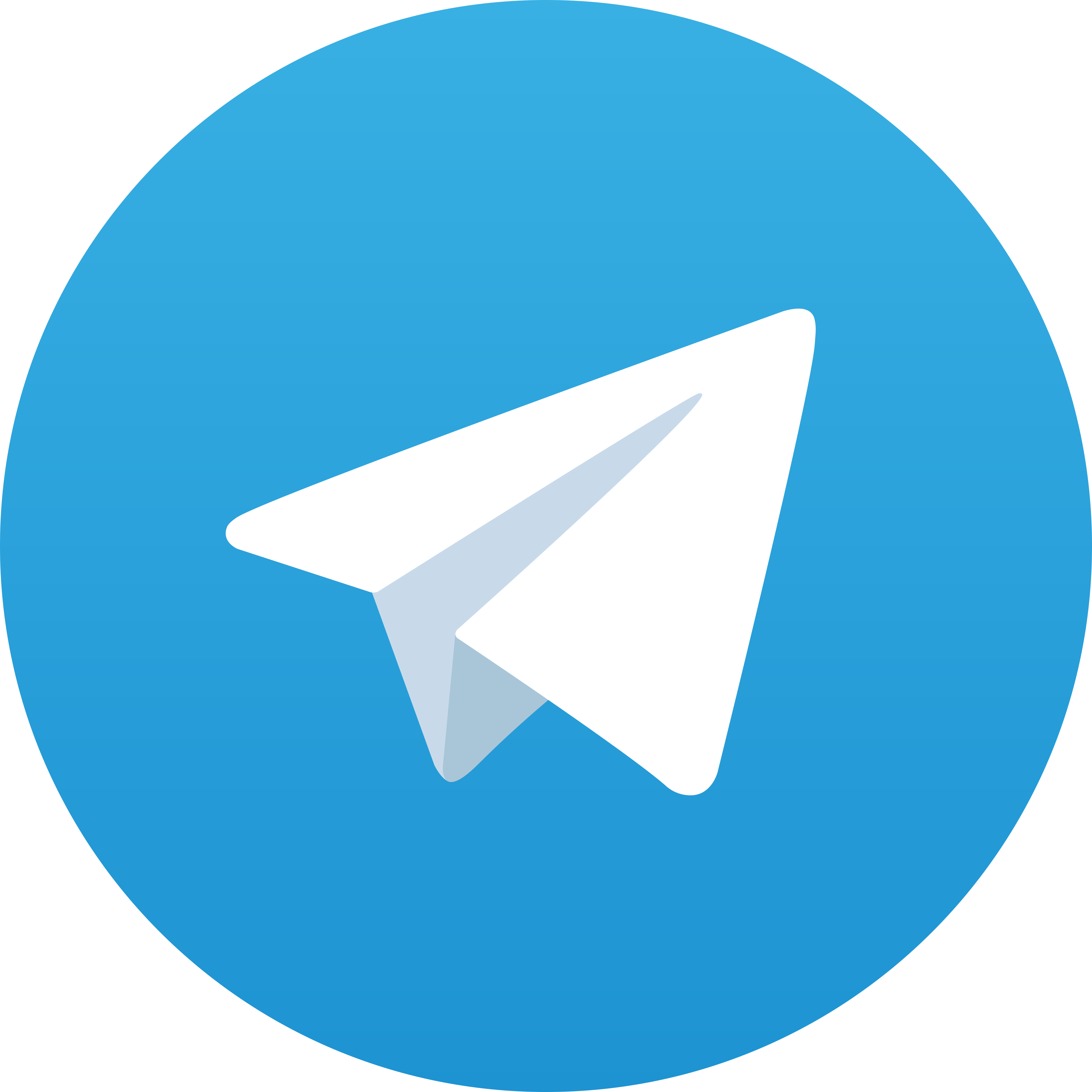 Telegram Koidomino